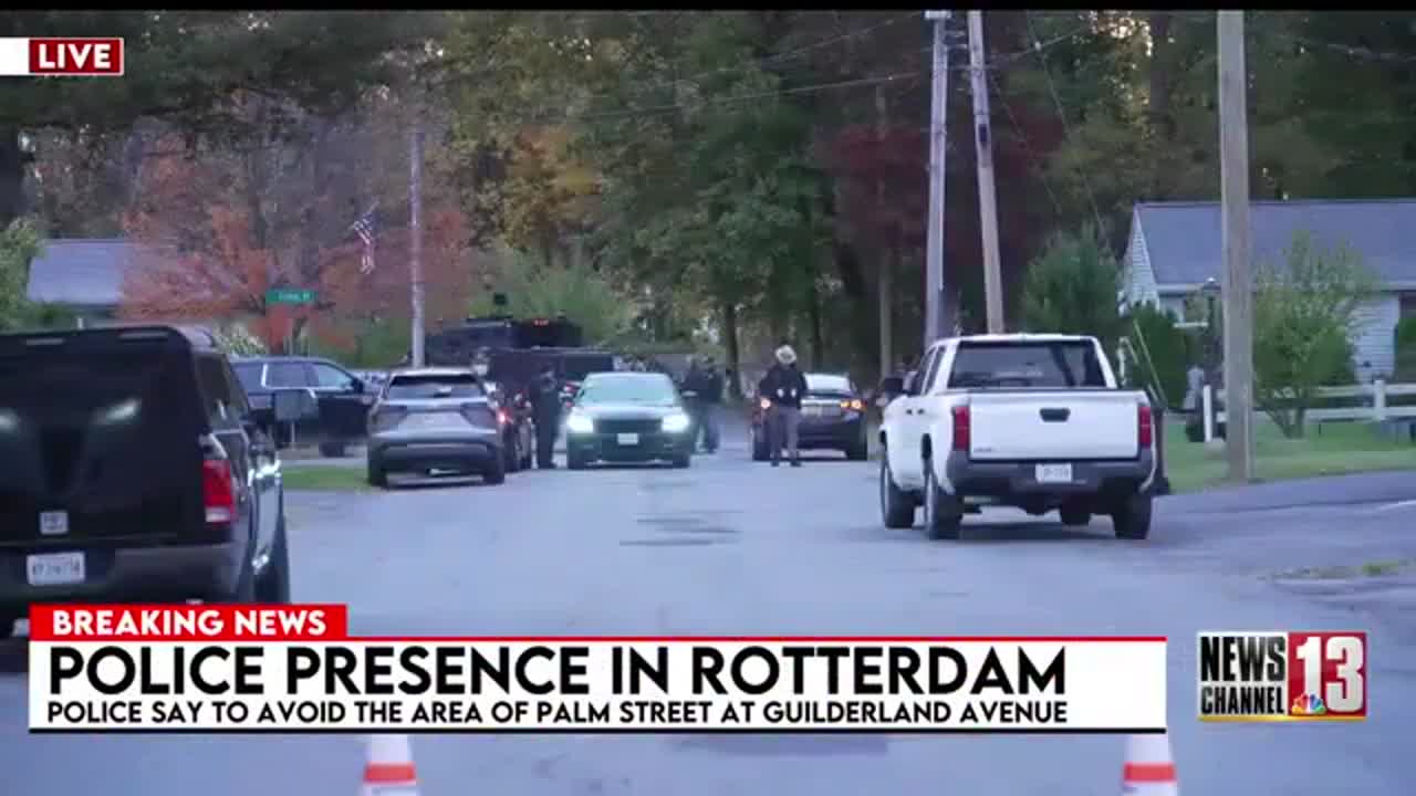 Large police presence on Palm Street in Rotterdam — Schenectady Business news